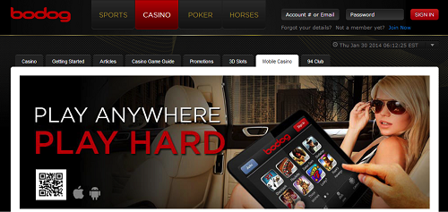 94club bodog casino en ligne