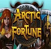 Machine à Sous Arctic Fortune