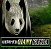 Jouez à Un Panda Géant Indompté en Ligne