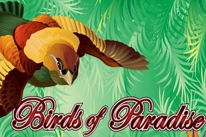 Oiseaux de Paradis